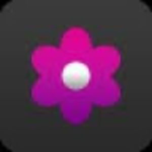 Meet your Posher, Chantelle